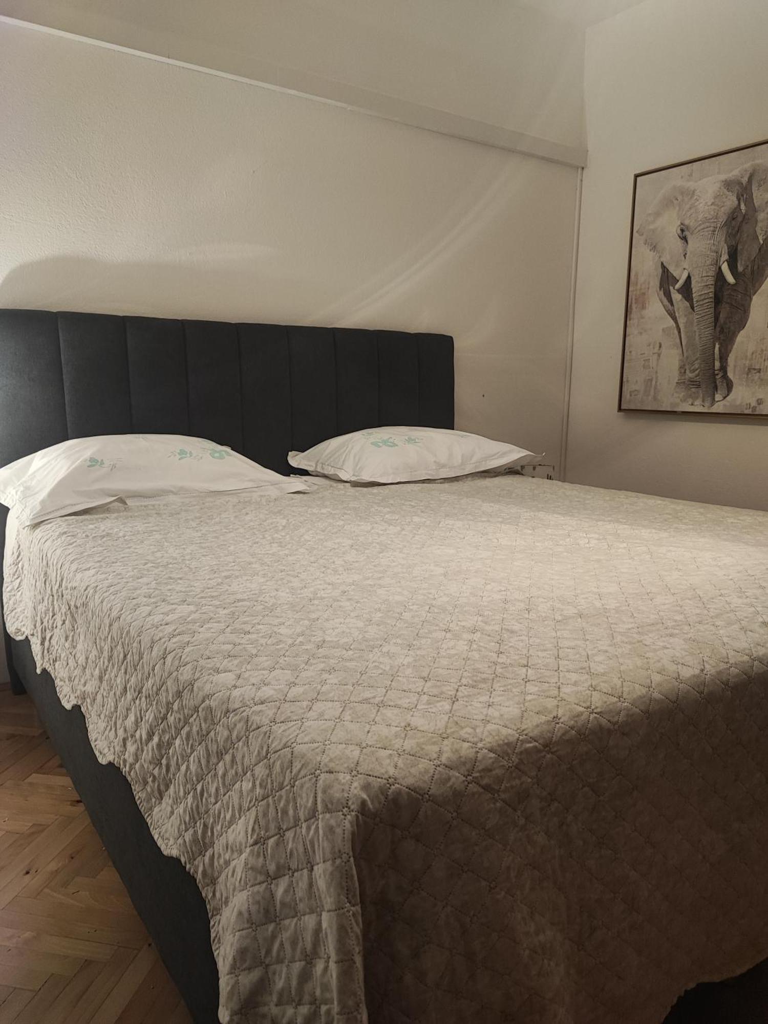 Apartman Duce Milka别墅 外观 照片